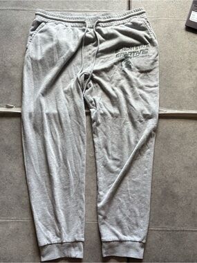 Y2k msu michigan state spartans gray sweatpants